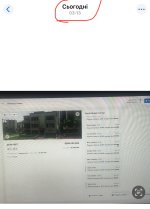 IMG_3010.jpeg