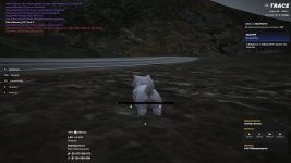 1111.jpg