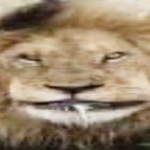 1769069315575.png
