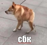 1773409490622.png