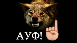 i.webp