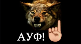 1777927862575.png