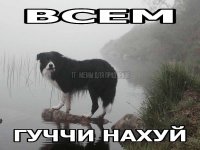 1cac84eeaf6f6a1d3bccd7e62c1762d7.jpg