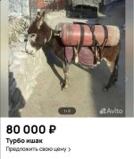Без названия.jpg