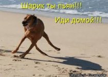 Без названия (1).jpg