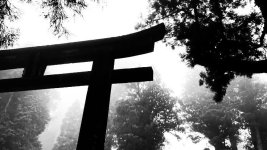 IMG_5921.jpeg