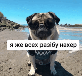CD04C15E-E62C-41EA-BABB-CDEFF0B9A47C.gif
