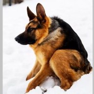 Alexander