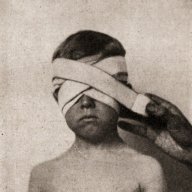 hurted purosangue