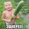 toxaxpaxage